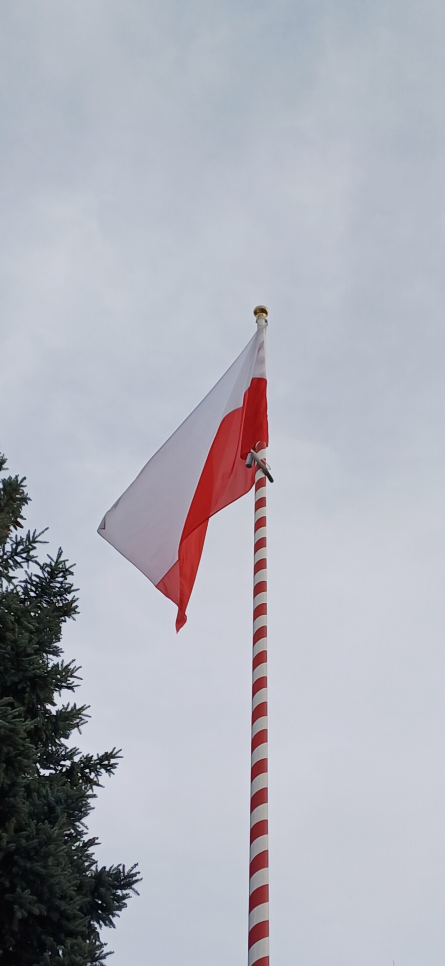 Apel z okazji Narodowego Święta Niepodległości
